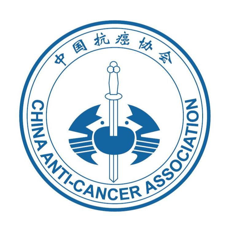 完美对战平台